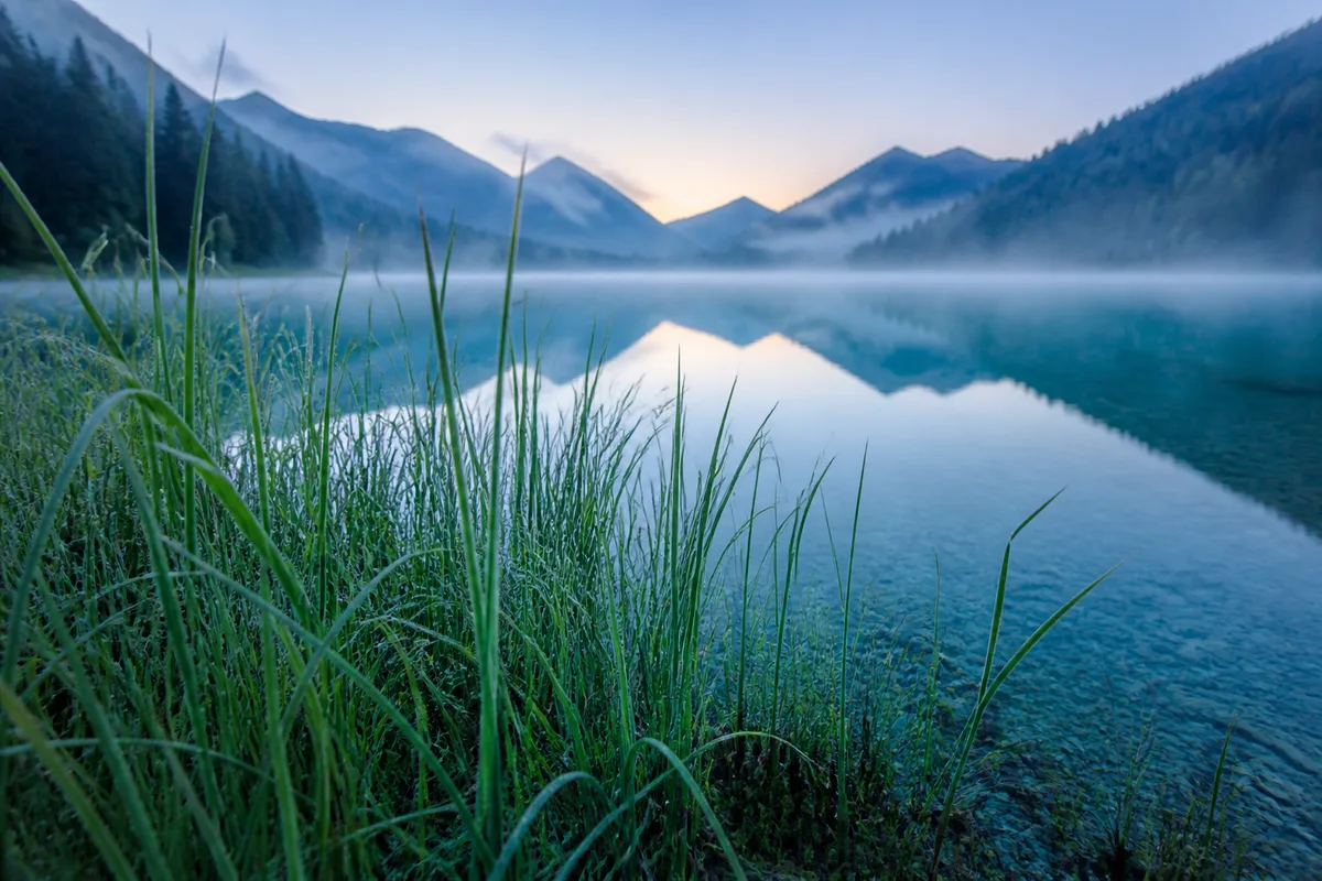 Rive herbeuse du lac d&rsquo;Annecy à l&rsquo;aube, eau turquoise très claire et roseaux au premier plan sous une brume légère
